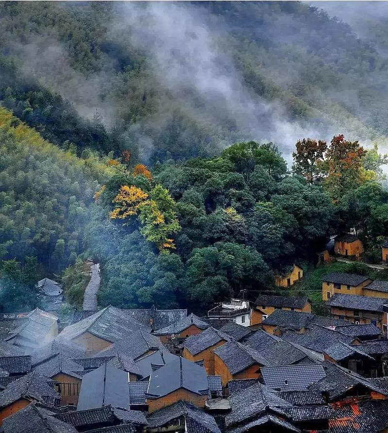 帕金森的典型症状有哪些