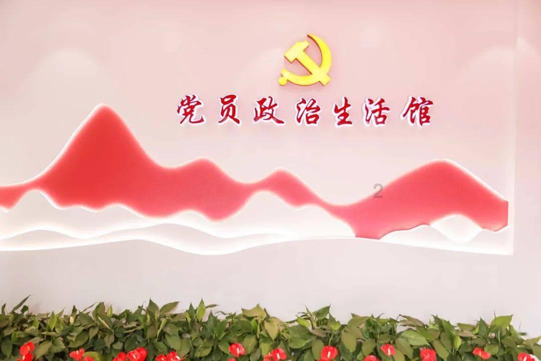 植物大战僵尸17
